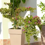Russo Apartment Tisno