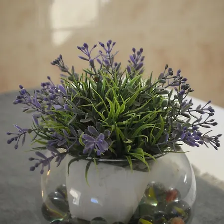 Russo Apartment Tisno