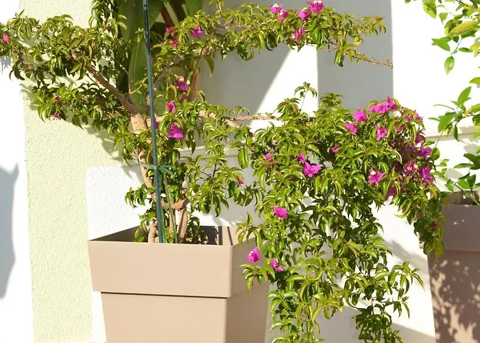 Russo Apartman Tisno