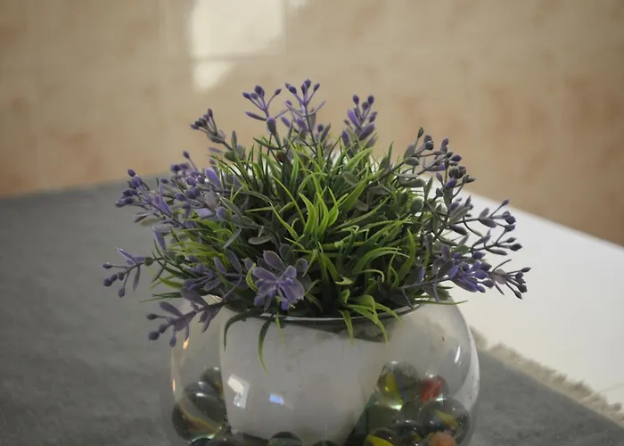 Russo Apartman Tisno