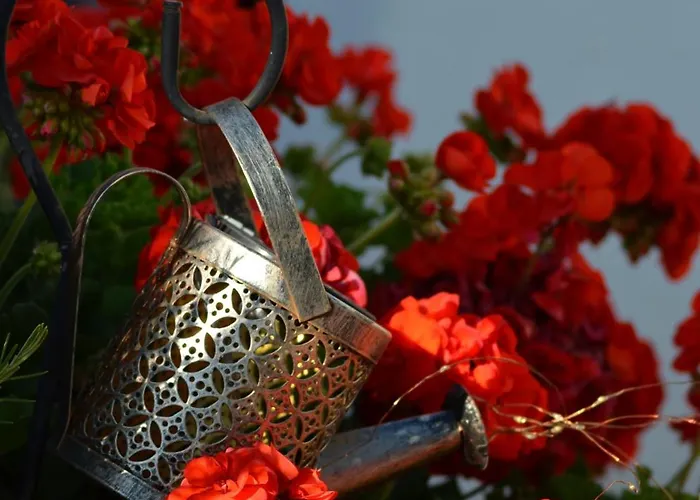 Apartman Russo Tisno